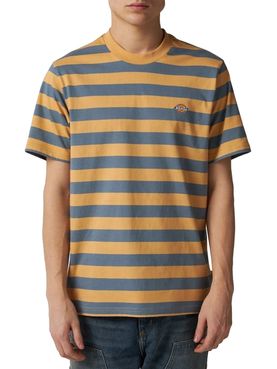 T-shirt Dickies Rivergrove da Uomo - Multicolore
